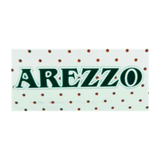 Arezzo-store icon