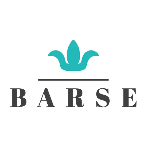 Barse icon