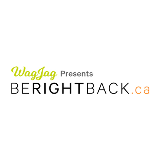 Berightback icon