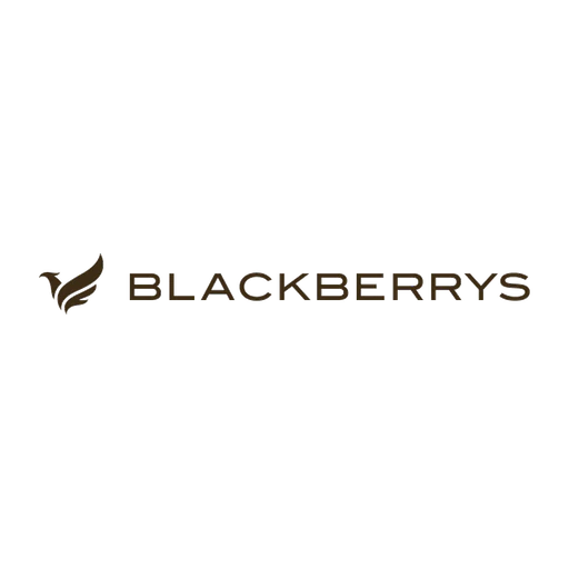 Blackberrys icon