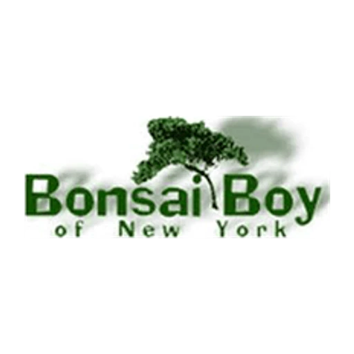 Bonsaiboy icon