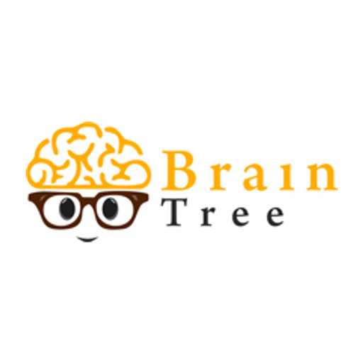 Braintreegames icon