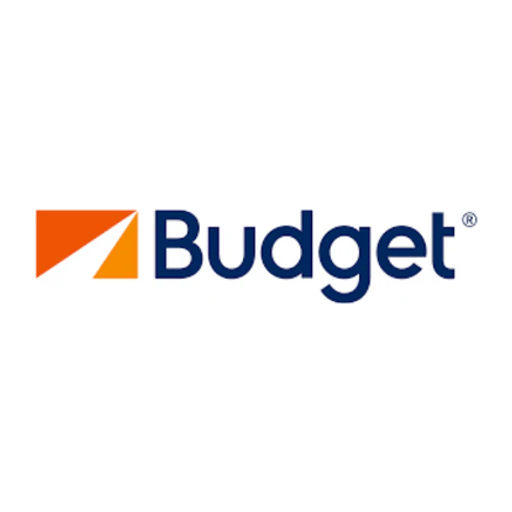 Budget icon