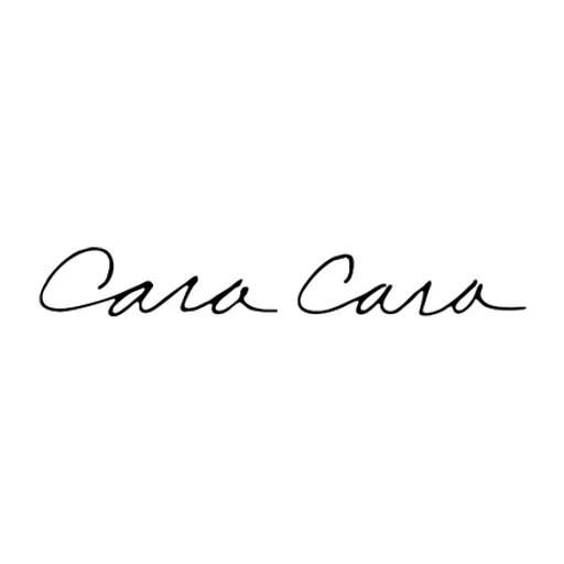 Caracaranyc icon