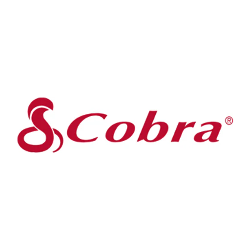 Cobra icon