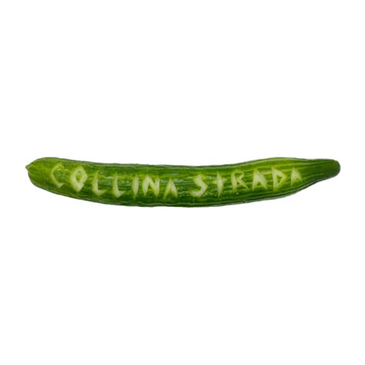 Collinastrada icon