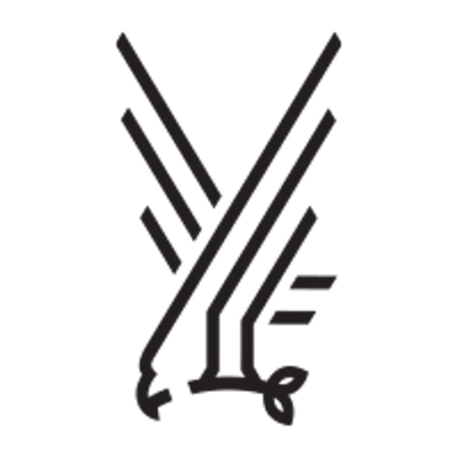 Combatflipflops icon