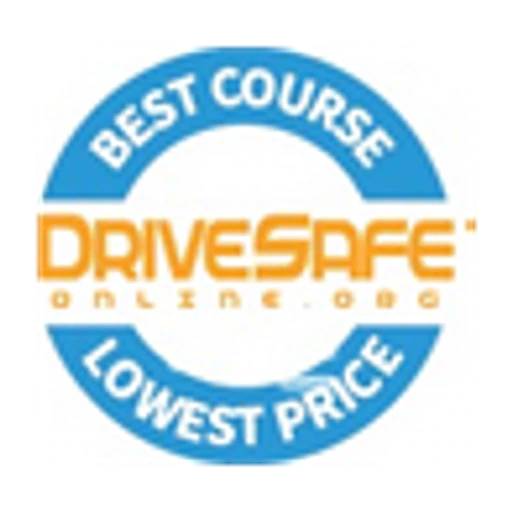 Drivesafeonline icon