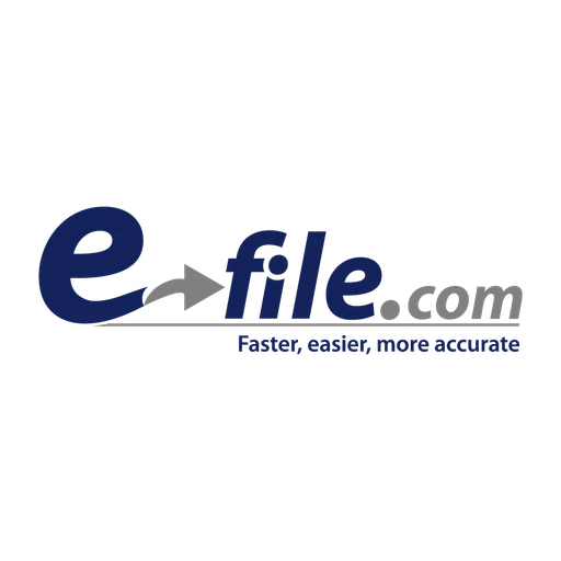 E-file icon