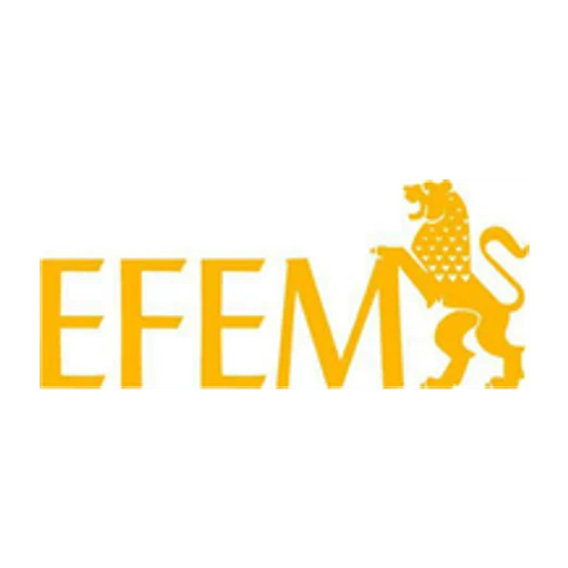 Efem icon