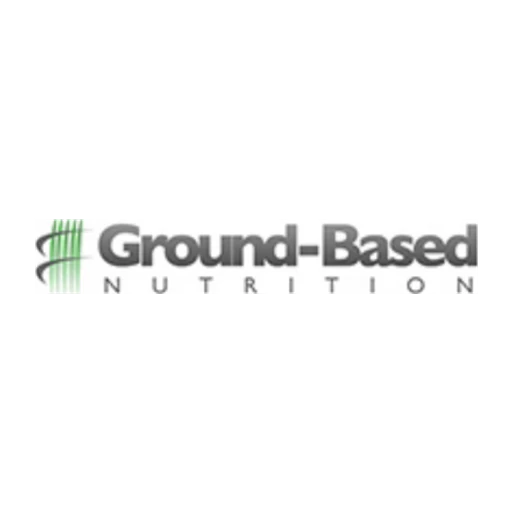 Ground-based icon
