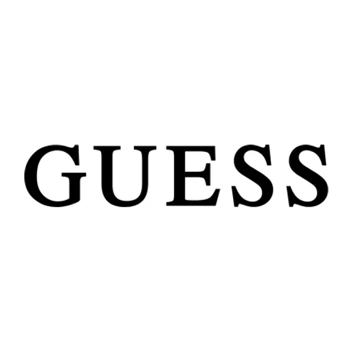 Guess icon