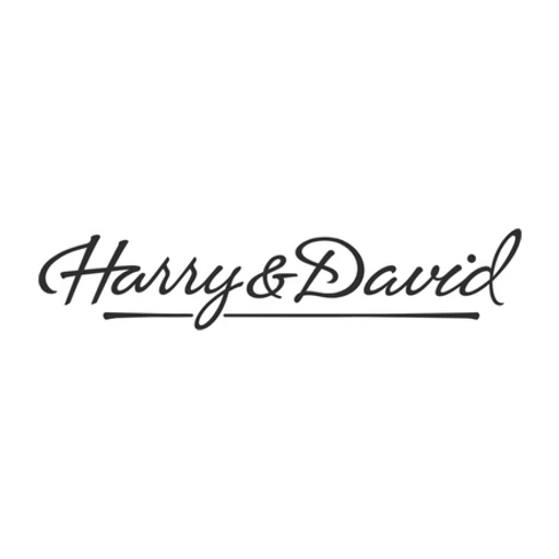Harryanddavid icon