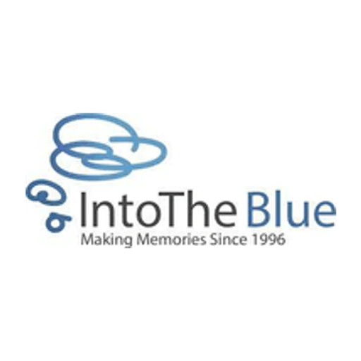 Intotheblue icon