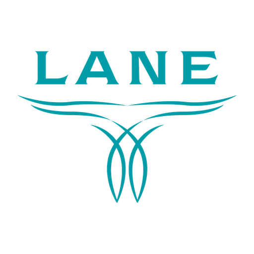 Laneboots icon