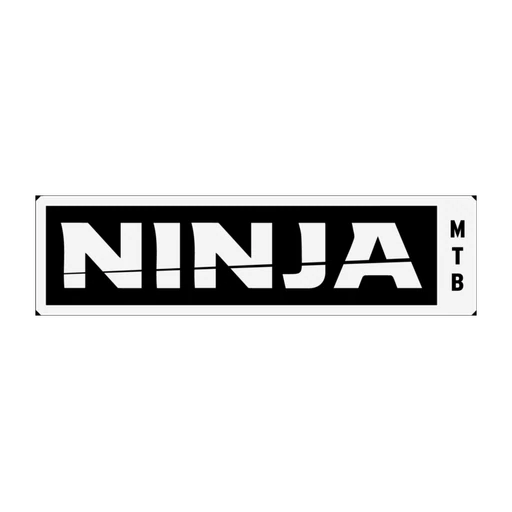 Ridelikeaninja icon