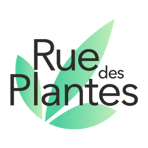Ruedesplantes icon