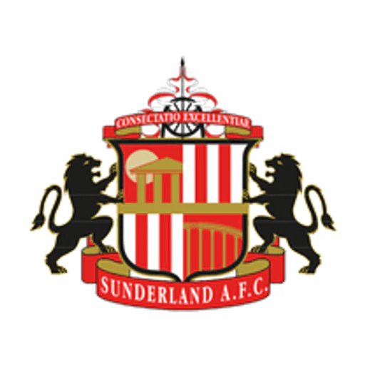 Safcstore icon