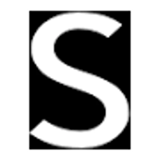 Shein icon