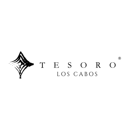 Tesoroloscabos icon