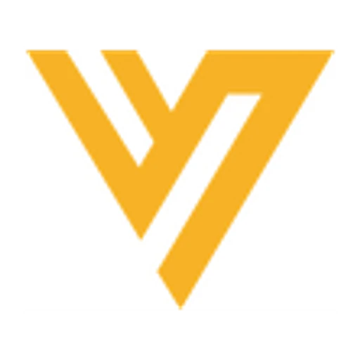 Vtoman icon