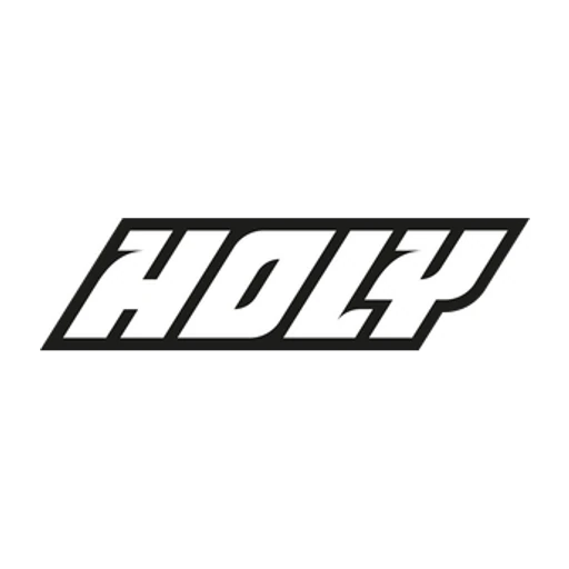 Weareholy icon