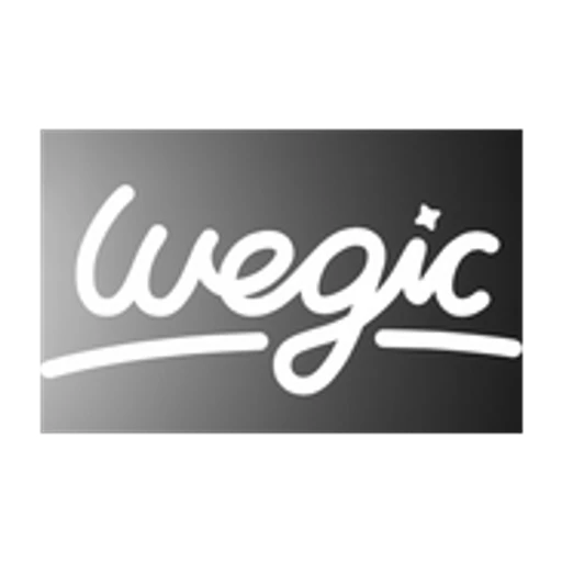 Wegic icon