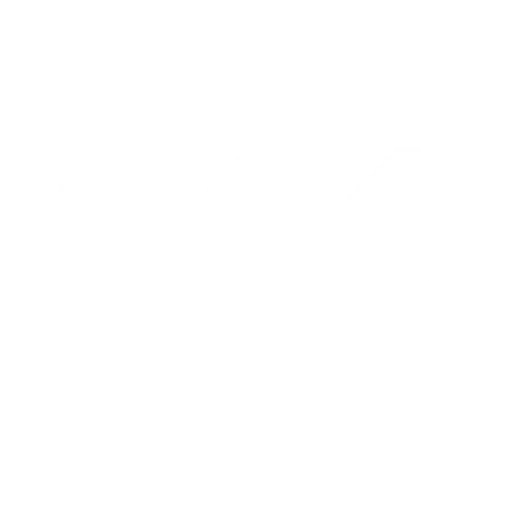 Wondershare icon